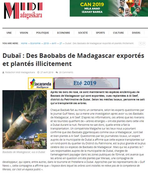 Were Madagascar's endangered baobab trees torn out and replanted in Dubai?