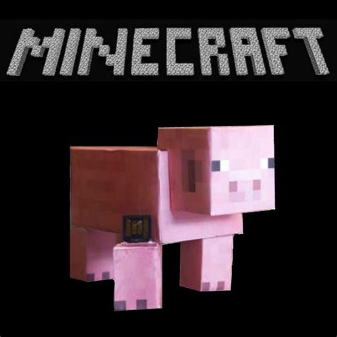 Image result for Fun Minecraft Projects