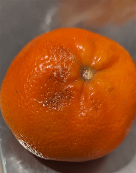 Image result for Tangerine Computer Systems