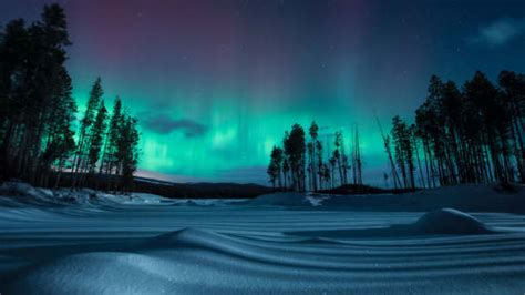 Aurora Borealis Bing Wallpaper 的图像结果