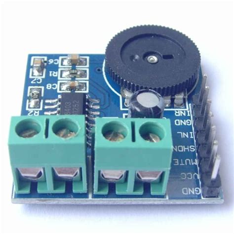 Buy dido Vokmon PAM8403 2 Channel o Power Amplification Module Stereo ...