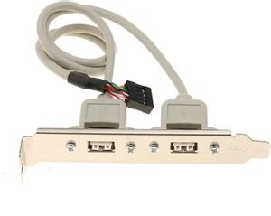 Paruht USB 2-Port to 9-Pin Motherboard Header Adapter Converter with ...