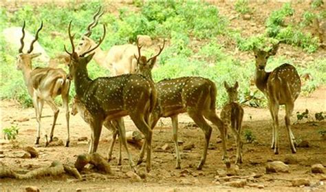 Andhra Pradesh Tourism, Famous Tourist Places in Andhra Pradesh