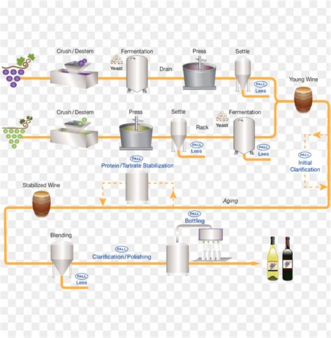 Wine Making Process 的图像结果