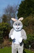 Image result for Bugs Bunny House Inside