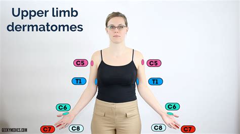 Dermatomes Lower Extremity