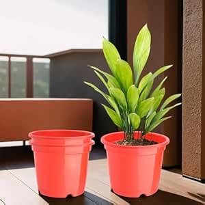 Kuber Industries (Pack of 3) Flower Pot | Fuldani Flower Pot | (6 Inch ...