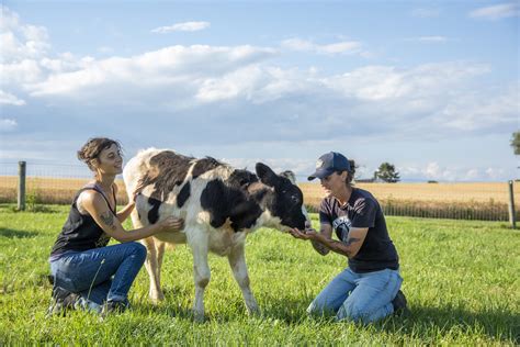 Education Programs - Lancaster Farm Sanctuary