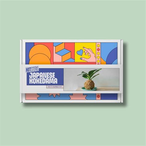 Buy DIY Japanese Kokedama Kit in India at Best Price - Zop by Shiprocket