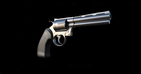 Image result for Colt Python Assembly