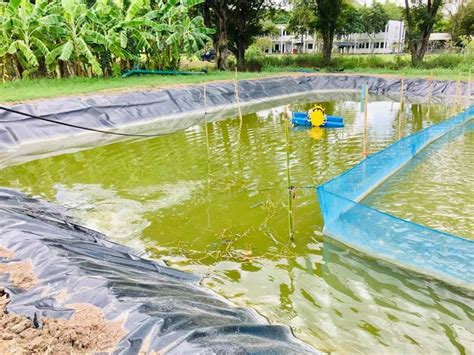 AIT Aquaculture | The Aquaculture program of Asian Institute of ...