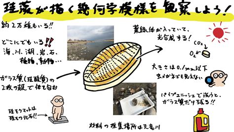 Image result for Map. Filter Reduce in Java