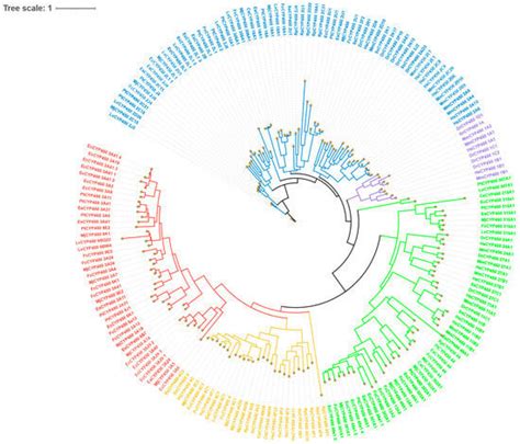Identification of CYP450 Family Members and Their Gonadal Expression ...