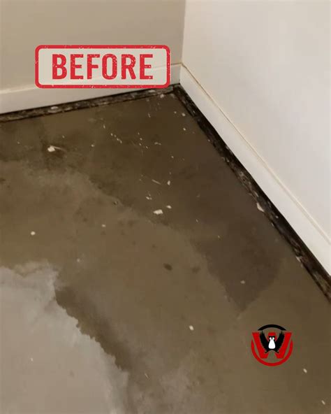 Best Water Coming Up From Basement Floor For Modern Homes