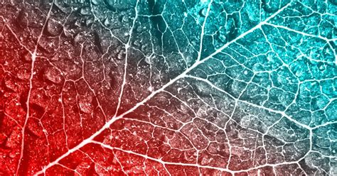 Sustainability & KAITEKI | MCG Advanced Materials Division