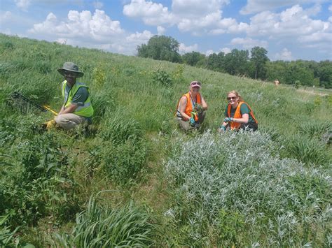 2023 Annual Report - A Leap Year — Great River Greening