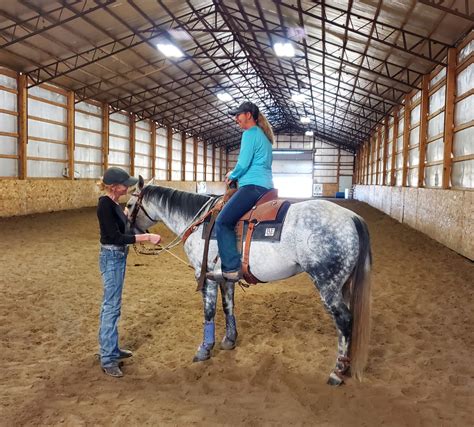 How-to guide for buying a horse - High Plains Journal
