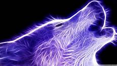 Neon Wallpaper by Neon Animals Wallpapers Wallpaper Cave Neon Wallpaper