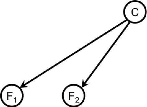 Bayesian Network Classification 的图像结果