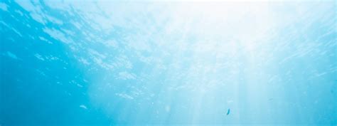 Similan Islands Tour by Check In Andaman - Klook India