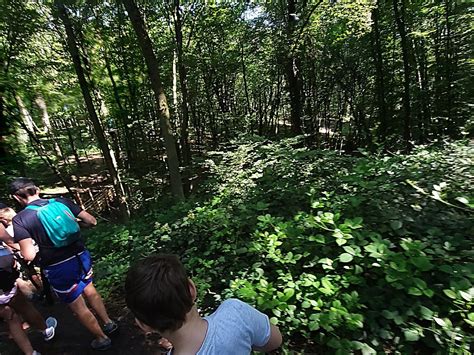 ARBOREO (2026) All You Need to Know BEFORE You Go (with Photos ...