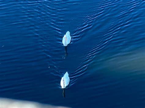 Image result for Soul Connection Boithek Jagatseth