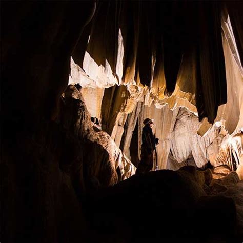 MGM University, Chh. Sambhajinagar | Multidisciplinary NEP 2020 Aligned ...