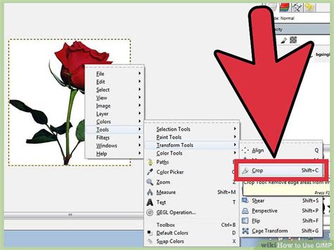 Image result for Using GIMP