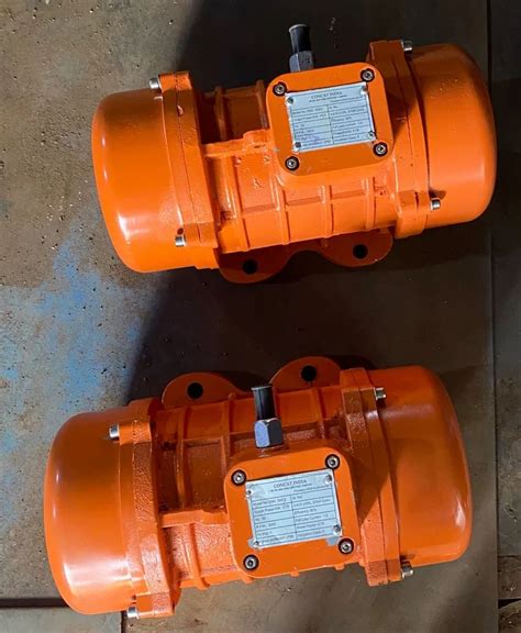 Shutter Vibrator - 1 Hp Electric Vibrator Motor Manufacturer from Ghaziabad