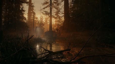 Slideshow: 『Alan Wake 2』スクリーンショット