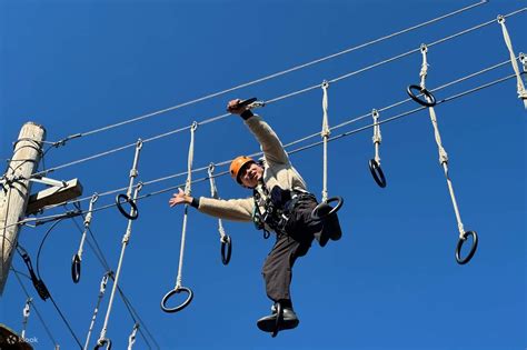 Image result for Student Pass OR Fail Program in Python