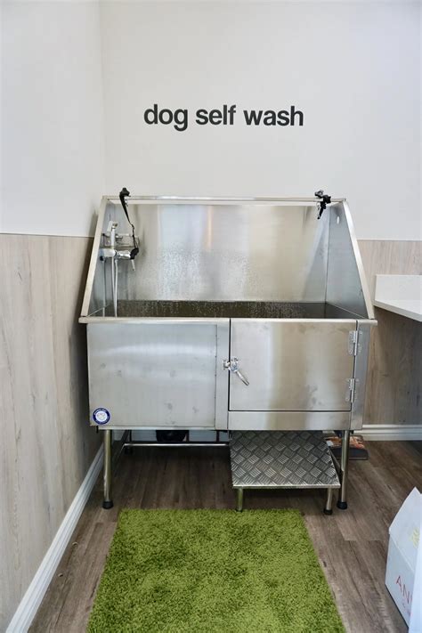 Do It Yourself Dog Wash