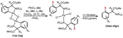 o-Halogenation and -Alkoxylation of Phenylglycine Derivatives by Pd ...