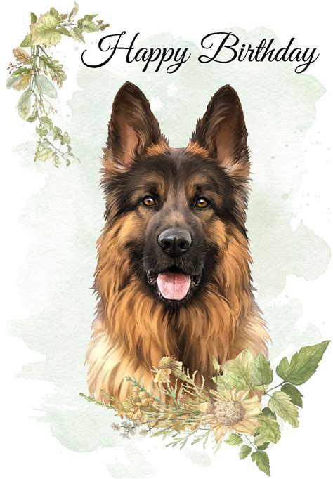 Happy Birthday German Shepherd Jakoba German Shepherds | Happy