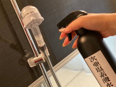 Image result for Codepad Text Editor