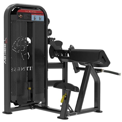 Image result for Bicep Curl Machine Guide