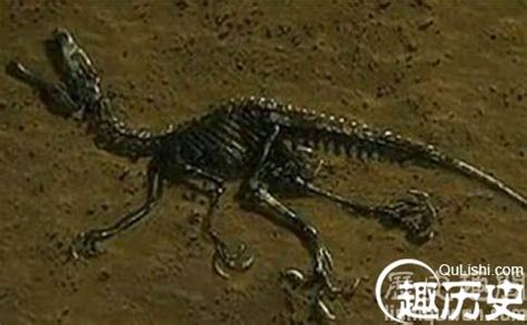 恐龙灭绝的真正原因：竟是被外星人杀光?-趣历史网