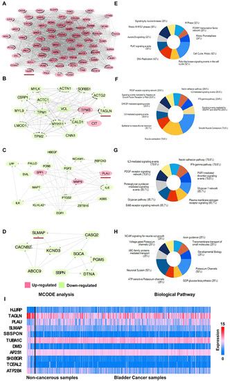 Identification of Key Biomarkers in Bladder Cancer: Evidence from a ...