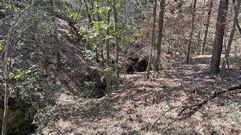 Pitt and Sylvan Springs Recreation Area – Florida Hikes