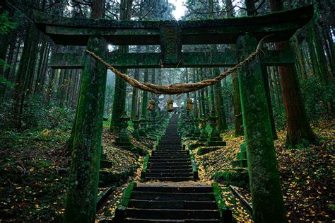 Chinju no Mori: Meaning, Famous Sacred Shrine Forests & Why They Matter ...