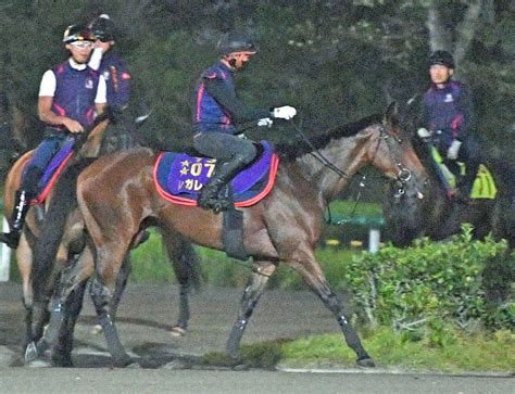 【オールカマー】レガレイラ再輝へ 有馬記念Vの中山で“天才少女”復活だ 陣営も上昇ぶり実感「体つき、バランスも良化」 | 競馬ニュース ...