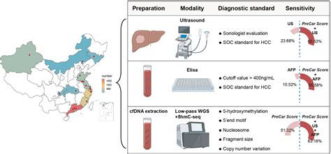 Cell-free DNA testing for early hepatocellular carcinoma surveillance ...