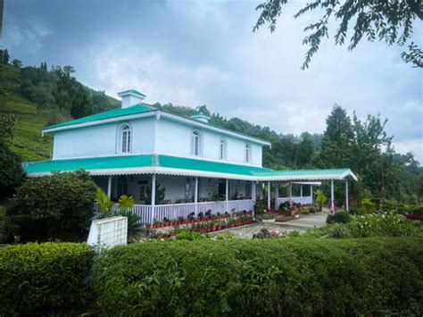 Temi Tea Garden Bungalow: An Enchanting Retreat for the Senses