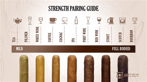 Guide to Different Types of Cigars: Size, Shape, Flavors & More ...