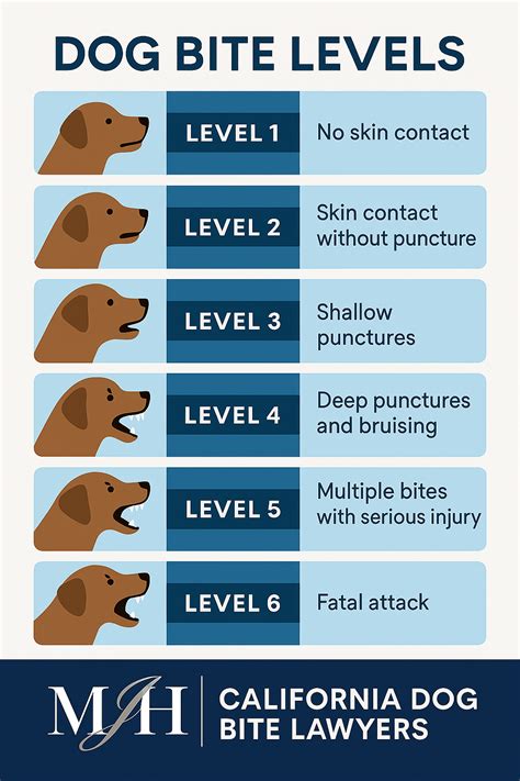 Dog Bite Level Chart by Dunbar Bite Scale - Melinda J. Helbock, A.P.C ...