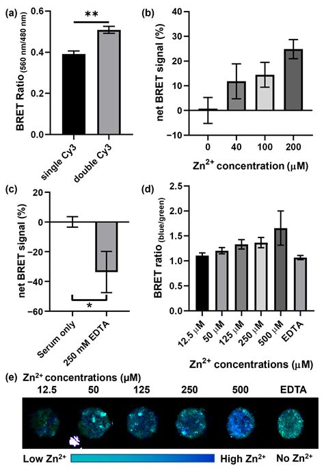 Ratiometric Detection of Zn2+ Using DNAzyme-Based Bioluminescence ...