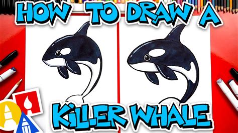 How To Draw A Baby Killer Whale at Joanne Bender blog
