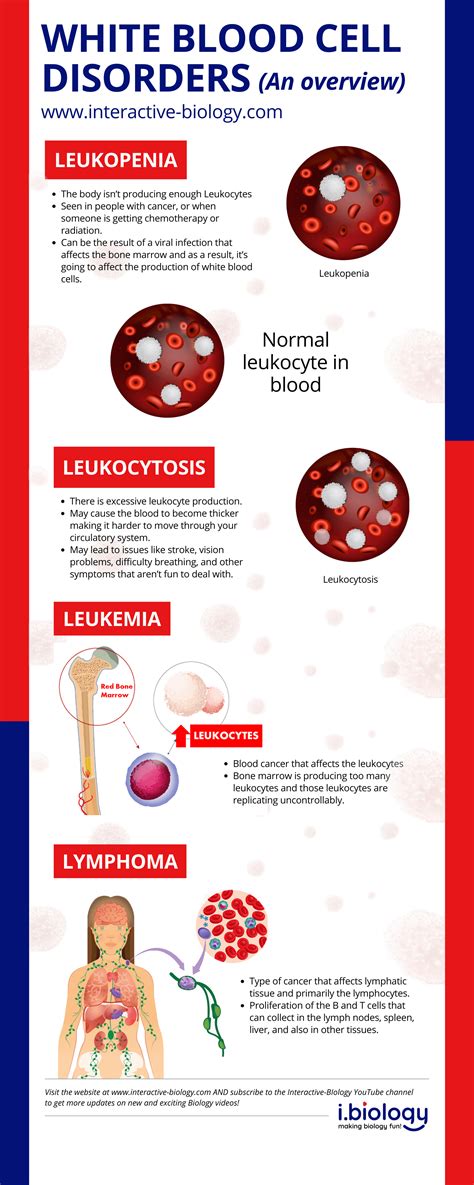 White Blood Cells Cancer Diagnosis