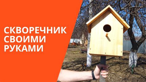 Как сделать правильный скворечник своими руками виды размеры чертежи ...