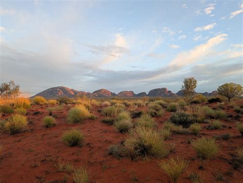 ULURU HOP ON HOP OFF (2026) All You Need to Know BEFORE You Go (with ...